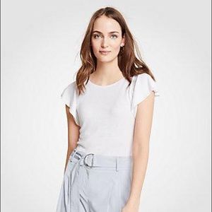 Short sleeve Ann Taylor flutter sleeve sweater